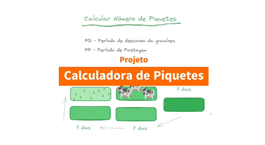 Preview Calculadora de Piquetes